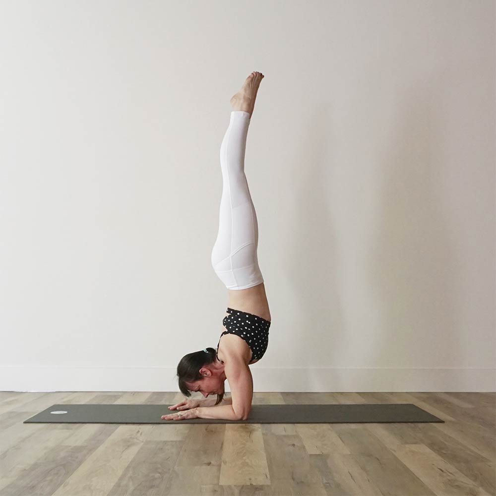 Preparation Poses for Forearm Stand